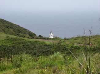 Noordereiland - Cape Reinga