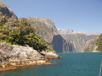 Milford Sound - Milford Sound