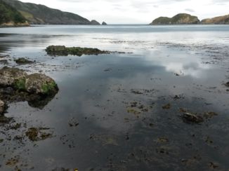 Zuidereiland - Marlborough sounds
