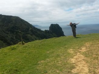 Zuidereiland - Coromandel