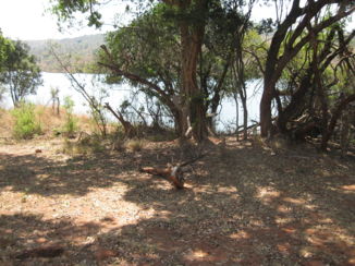 Wine and Food Safari - uitzicht.