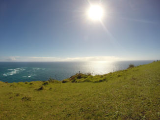 Nieuw-Zeeland - Lighthouse cape Reinga (noordelijkste punt NZ)