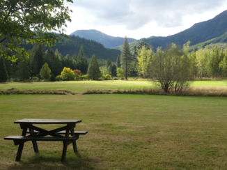 Nieuw-Zeeland - Hanmer Springs - Woodland walk