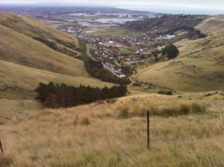 Nieuw-Zeeland - Bridle Path / Christchurch / Lyttelton