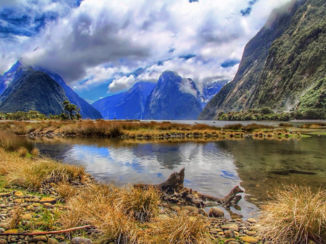 Nieuw-Zeeland - Milford sound