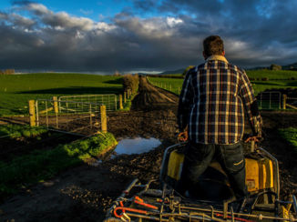 Nieuw-Zeeland - Farm life New Zealand
