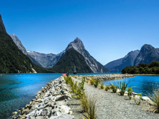 Nieuw-Zeeland - Fiordland on a clean day