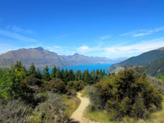 Nieuw-Zeeland - Queenstown Hill
