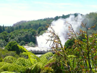 Nieuw-Zeeland - Rotorua