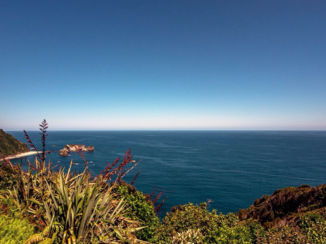 Nieuw-Zeeland - Westkust van het Zuidereiland
