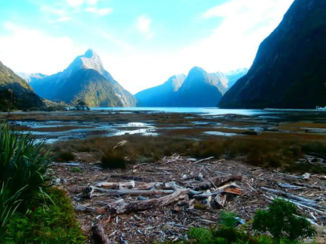 Nieuw-Zeeland - (milford) sound of silence