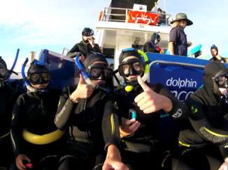 Nieuw-Zeeland - We zijn er