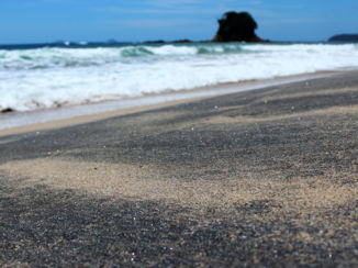 Nieuw-Zeeland - Otara Bay