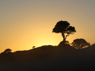 Nieuw-Zeeland - Sunrise at cathedral cove