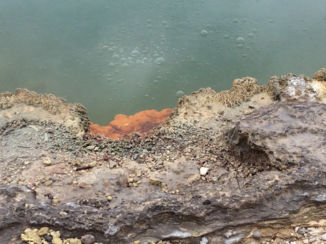 Nieuw-Zeeland - Warmtebronnen bij Rotarua