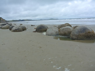 Nieuw-Zeeland - Moeraki Boulders