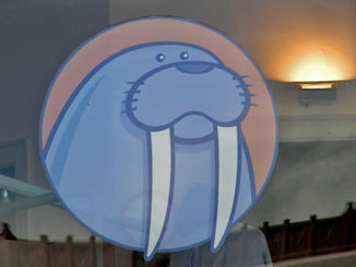 Nieuw-Zeeland - Napier