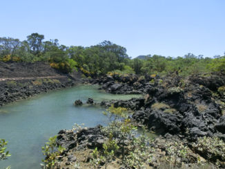 Nieuw-Zeeland - Rangitoto Island, een oud vulkanisch eiland bij de kust van Auckland
