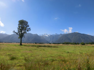 Nieuw-Zeeland - Fietstocht naar Fox Glacier