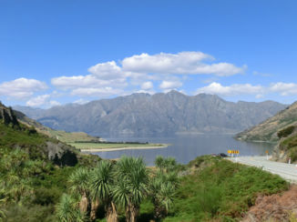 Nieuw-Zeeland - nabij Wanaka