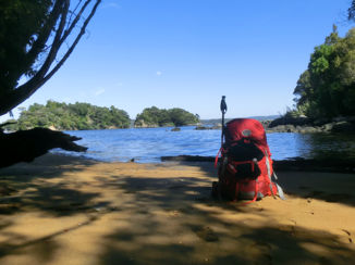 Nieuw-Zeeland - Steward Island