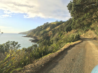 Nieuw-Zeeland - Road to the top of the Coromandel Peninsula