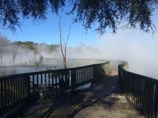 Nieuw-Zeeland - Volcanic activity in Kuirau Park, Rotorua