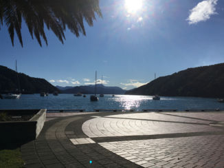 Nieuw-Zeeland - Cook strait