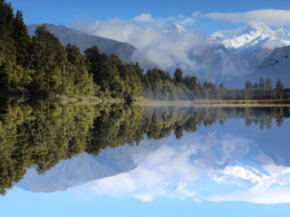Nieuw-Zeeland - Lake Matheson, upside down photo
