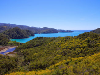 Nieuw-Zeeland - Abel Tasman