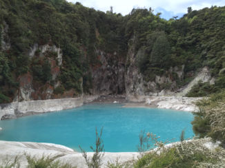 Nieuw-Zeeland - Een verrassing