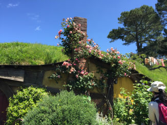 Nieuw-Zeeland - Hobbiton