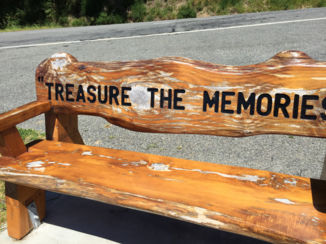 Nieuw-Zeeland - Een waarheid als een koe