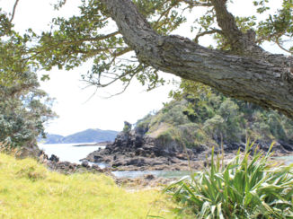 Nieuw-Zeeland - Bay of Island