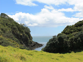 Nieuw-Zeeland - Bay of Island