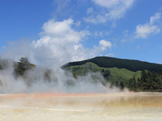 Nieuw-Zeeland - park