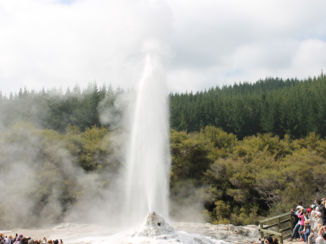 Nieuw-Zeeland - park