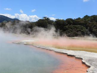 Nieuw-Zeeland - park