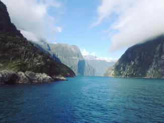 Nieuw-Zeeland - Milford Sound