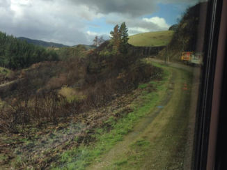 Nieuw-Zeeland - treinreis Auckland - Wellington