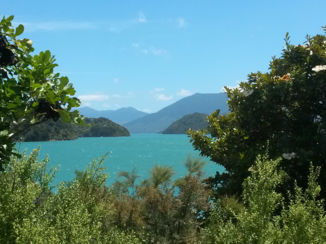 Nieuw-Zeeland - Ervaar wat rust met je doet in de Marlborough Sounds