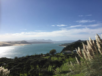 Nieuw-Zeeland - Dargaville highest look-out point