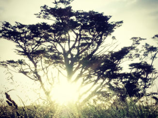 Noordereiland - Mount Wellington