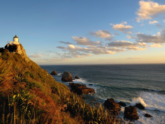 Zuidereiland - Nugget Point