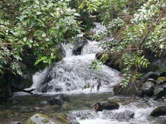 Nieuw-Zeeland - Zegt