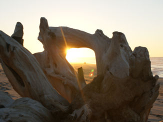 Nieuw-Zeeland - Sunset Hokitika