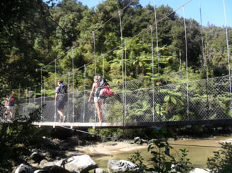 Abel Tasman National Park - Touwbruggen...