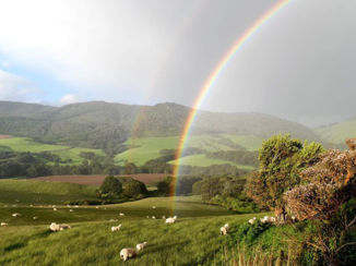 Nieuw-Zeeland - Catlins
