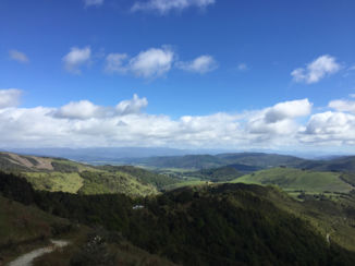 Nieuw-Zeeland - Nelson Lakes