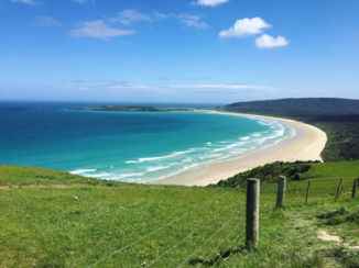 Nieuw-Zeeland - The Catlins